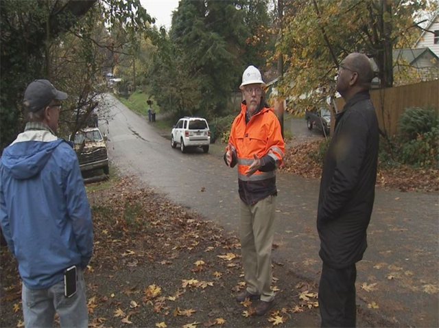 Seattle Tree Ordinance